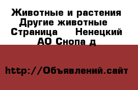 Животные и растения Другие животные - Страница 2 . Ненецкий АО,Снопа д.